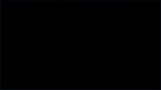 item.video_no